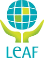 LeaF